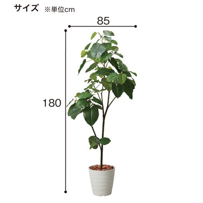 フェイクグリーン(高さ180cm ウンベラータポット 1512 IV) [4]