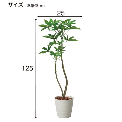 フェイクグリーン(高さ120cm パキラポット 1477 IV) [4]