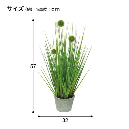 フェイクグリーン(高さ57cm ポンポングラスS GLA-1395） [4]