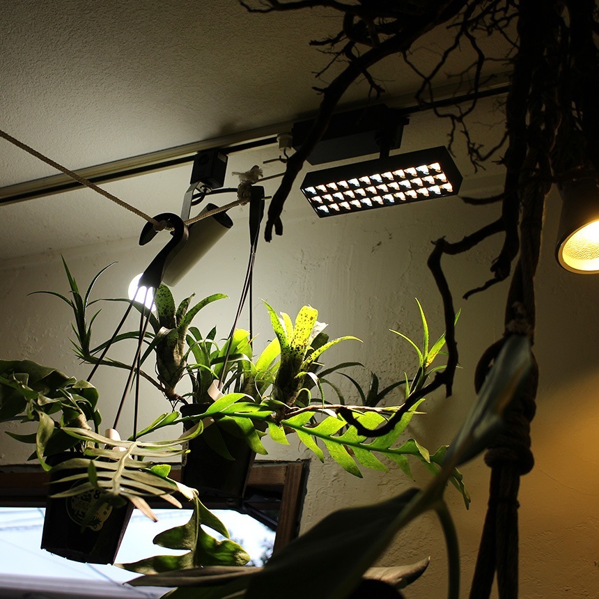 BRID ブリッド LED 植物育成ライト 20W [2]