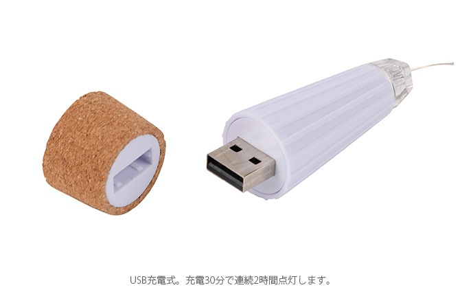 USB チャージボトル [3]