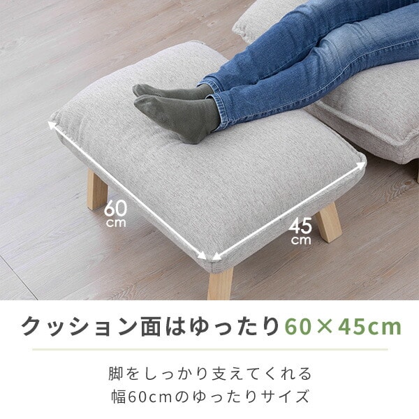 【10％オフクーポン対象】オットマン 足置き 幅60 奥行45 高さ38cm FLS-62OT 山善 YAMAZEN
										
											【会員登録でクーポンGET】 [5]