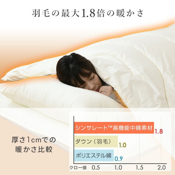 【10％オフクーポン対象】高機能中綿素材 シンサレートウルトラ 掛け布団 シングル 日本製 NCTLKF-001FQ 日本製 シンサレート
										
											【会員登録でクーポンGET】 [5]