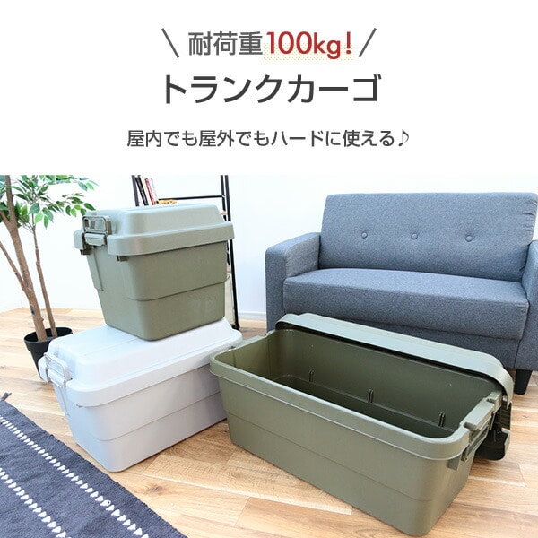 【10％オフクーポン対象】トランクカーゴ 座れる 収納ボックス30L TC-30 リス RISU [2]