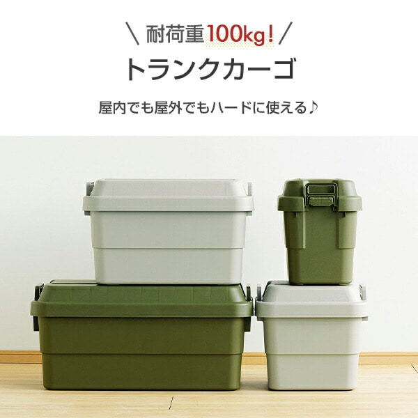 トランクカーゴ 座れる 収納ボックス20L TC-20 リス RISU [2]