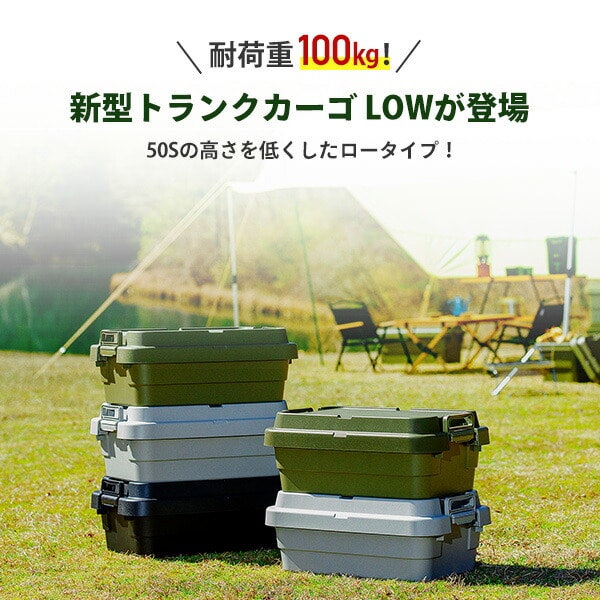 【10％オフクーポン対象】トランクカーゴ 座れる 収納ボックス LOWタイプ(30L) GHON133/GHON134/GHON135 リス RISU [2]