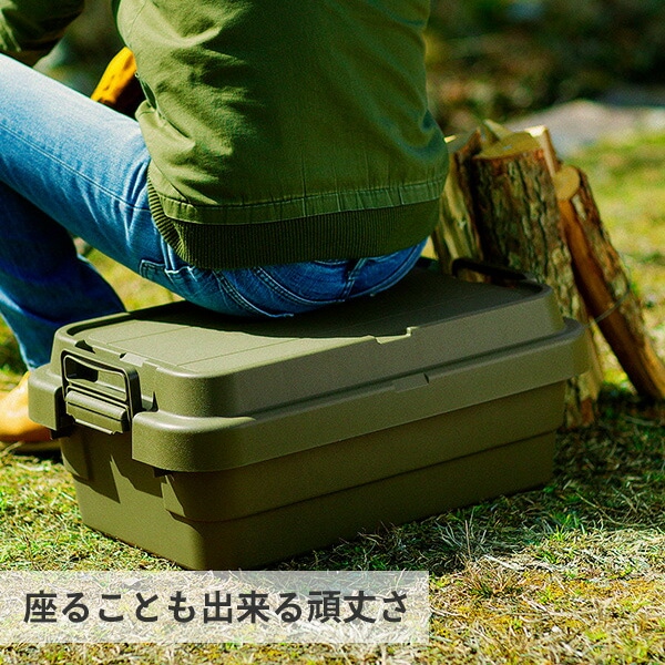 【10％オフクーポン対象】トランクカーゴ 座れる 収納ボックス LOWタイプ(30L) GHON133/GHON134/GHON135 リス RISU [3]