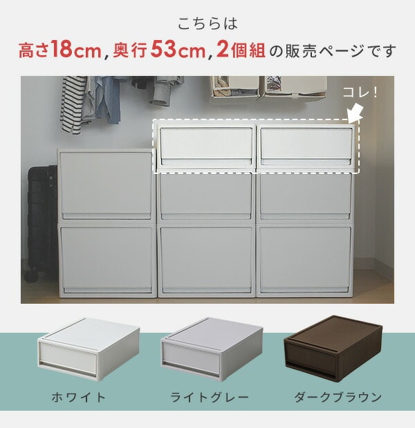 【10％オフクーポン対象】収納ケース 2個組 幅39 奥行53 高さ18 cm 中が透けない収納ボックス S 奥行き53 [4]