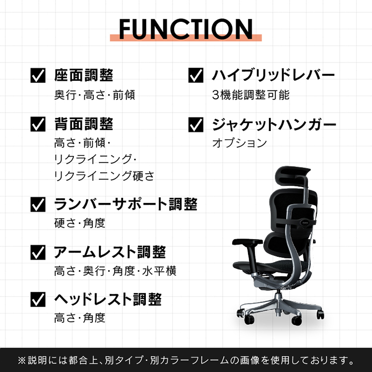 エルゴヒューマン プロⅡ オフィスチェア 高機能チェア 4Dアームレスト ハイタイプ [4]