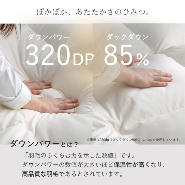 羽毛布団 本掛け WDD85％ DP320 セミダブル SD [3]