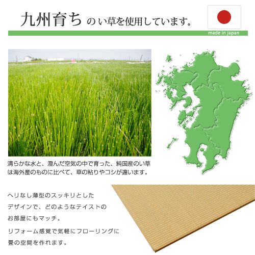 純国産 ユニット畳 プラード 70×70cm 単品 [2]