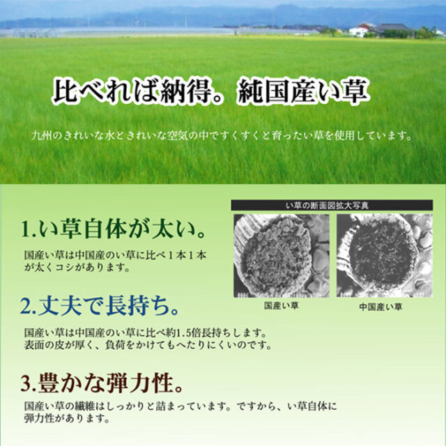 純国産 い草花ござ 裏貼りあり 江戸間4．5畳 261×261 [5]