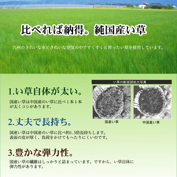 日本製 純国産 い草 花ござ カーペット 江戸間4．5畳サイズ 約261×261cm [3]