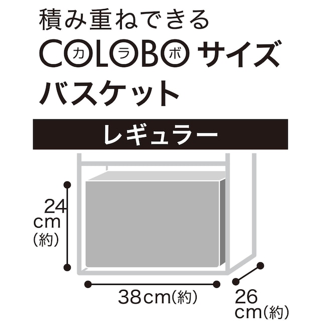 PPテープバスケット TI01 レギュラー ホワイト [2]