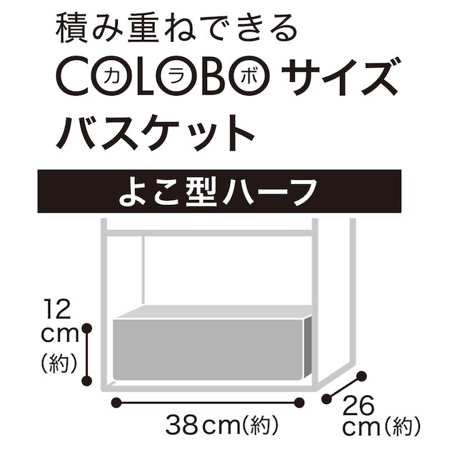 PPテープバスケット TI01 よこ型ハーフ ホワイト [2]