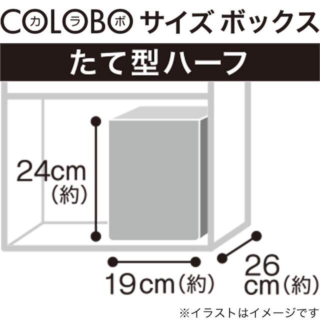 木製ボックス シャック2 たて型ハーフ ホワイト [3]