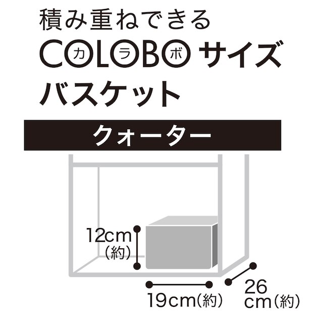 PPテープバスケット TI01 クォーター ホワイト [2]