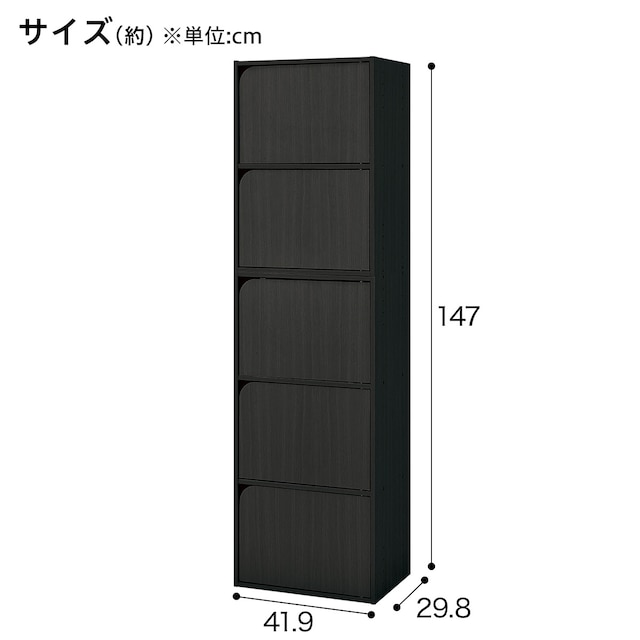 【ネット限定色】連結できるNカラボ 扉付き 5段(ブラック) [2]