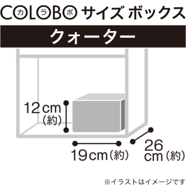 木製ボックス シャック2 クォーター ホワイト [3]