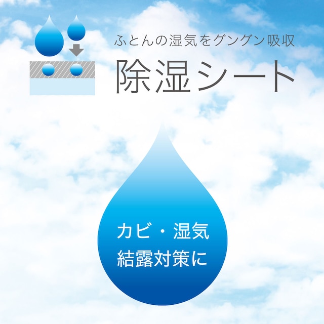 【デコホーム商品】洗える珪藻土入り除湿シート　セミダブル(T2 BL SD) [2]