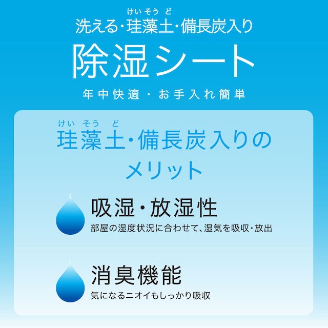 【デコホーム商品】洗える珪藻土入り除湿シート　ダブル(T2 BL D) [3]