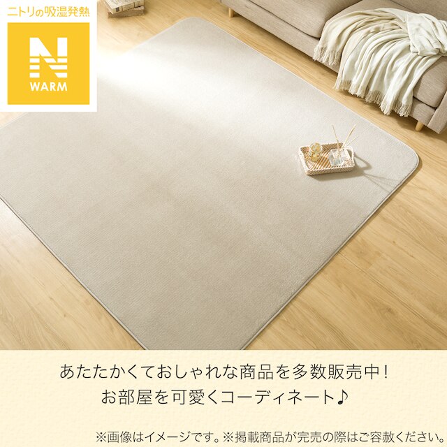 【デコホーム商品】10ｍｍウレタン入り保温+吸湿発熱+蓄熱ラグ（200X240 ライトモカ cDA01） [4]