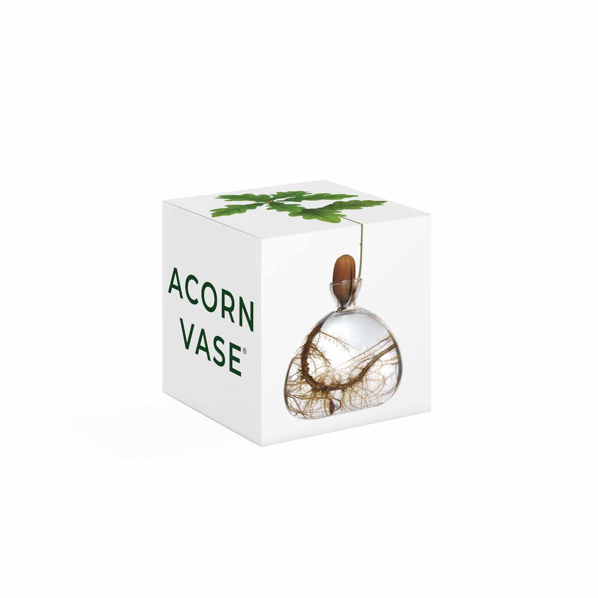 【ONLINE限定】ACORN VASE｜クリア [5]