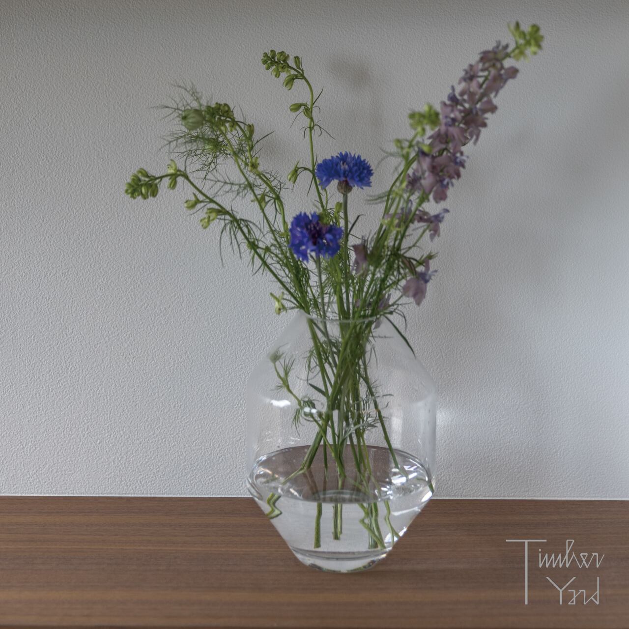 Hydro Glass Vase｜H20 [2]