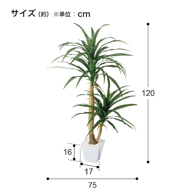 フェイクグリーン(高さ120cm ドラセナコンシネ GLA-1199) [4]