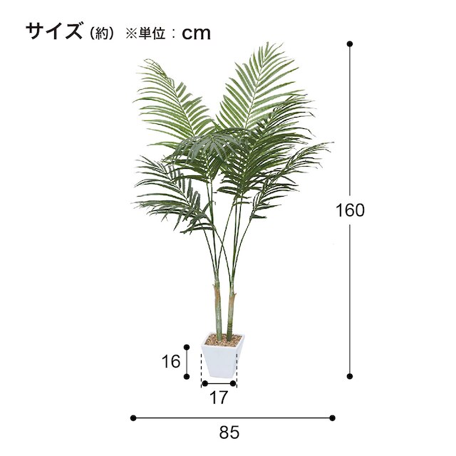 フェイクグリーン(高さ160cm アレカパーム GLA-1369) [4]