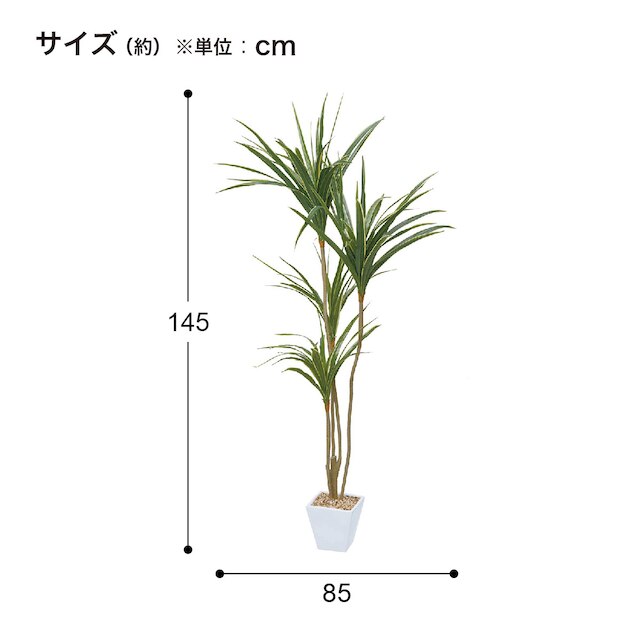 フェイクグリーン(高さ145cm ユッカ GLA-1389） [4]