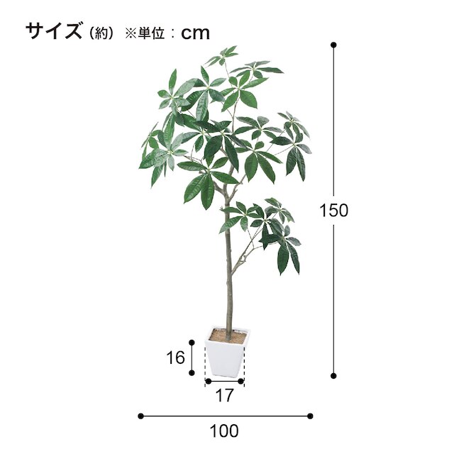 フェイクグリーン(高さ150cm パキラツリー GLA-1546) [4]