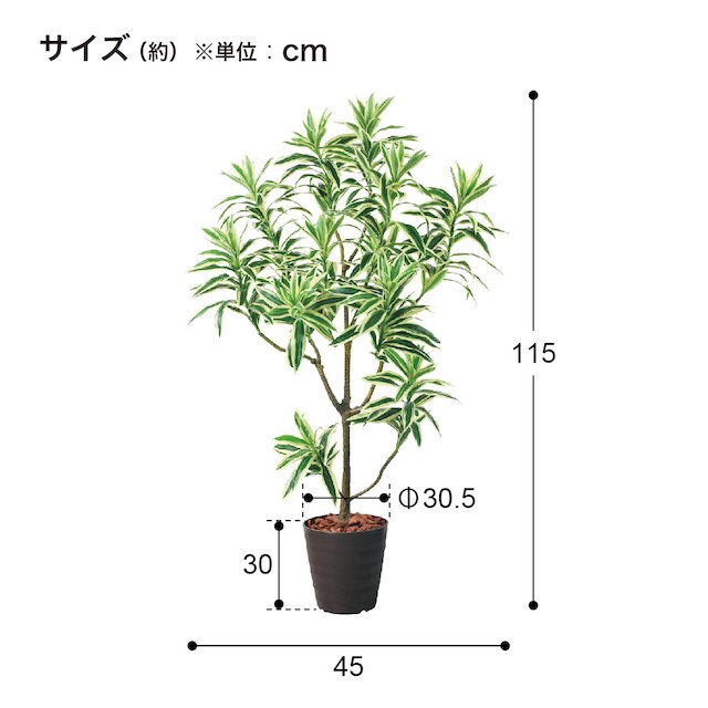 フェイクグリーン(高さ120cm ドラセナインディア BRL) [5]