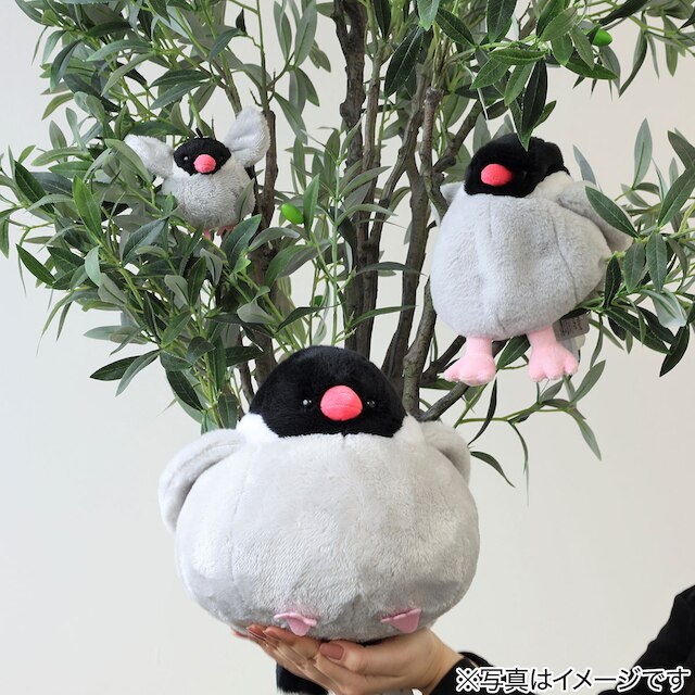 【デコホーム商品】モチモチクッション文鳥(SC217) [3]