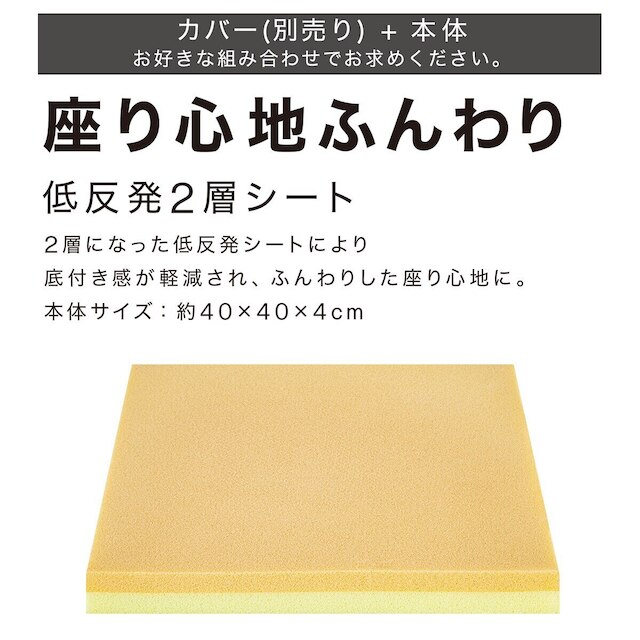 【2点セット】低反発二層シートクッション+専用カバー(NW SL2203 BE) [2]