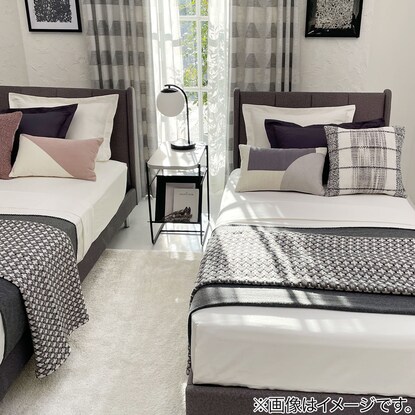 アクセントラグ( NウィンザIV 160X235) [5]