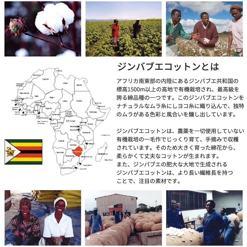 【Dサイズ】コンフォーターケース dream bed/ドリームベッド 【Zimbabwe ZIM-P】ジンバブエ・パス [2]