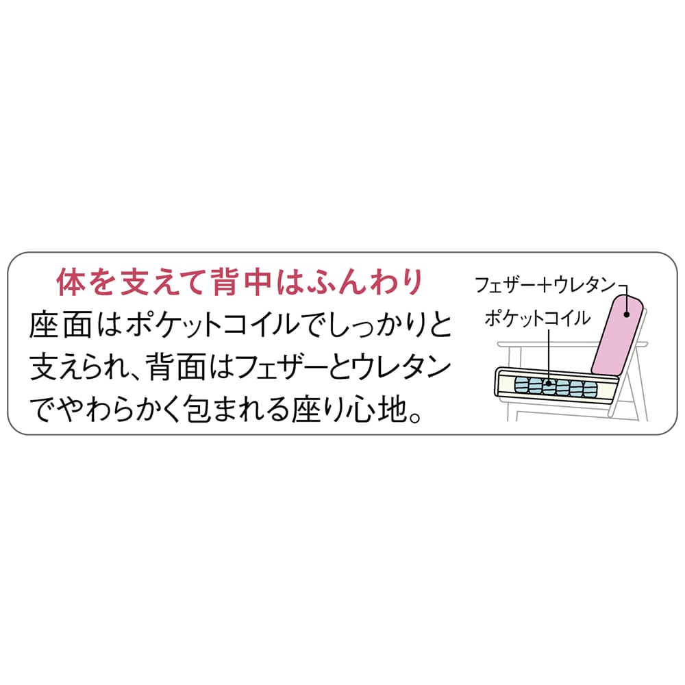 ネコが引っ掻いてもほつれにくいソファ ノーヴァ 2人掛け用 [4]