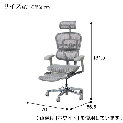 ワークチェア(エルゴヒューマンEHP2-LPL GR/BF) [3]