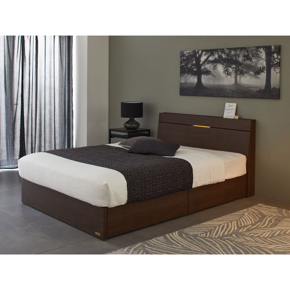France Bed/フランスベッド 照明付きベッド引き出しベッド フレームのみ