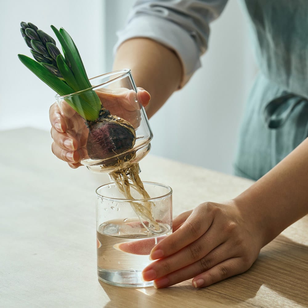 HARIO 「ガラスのある生活」 ガラスの花器 [3]