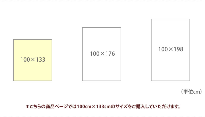 LOIRE ロワール 【100cm×133cm】 1.5倍ヒダ ウォッシャブル ミラーレース 防炎 遮熱 ナチュラルホワイト [3]