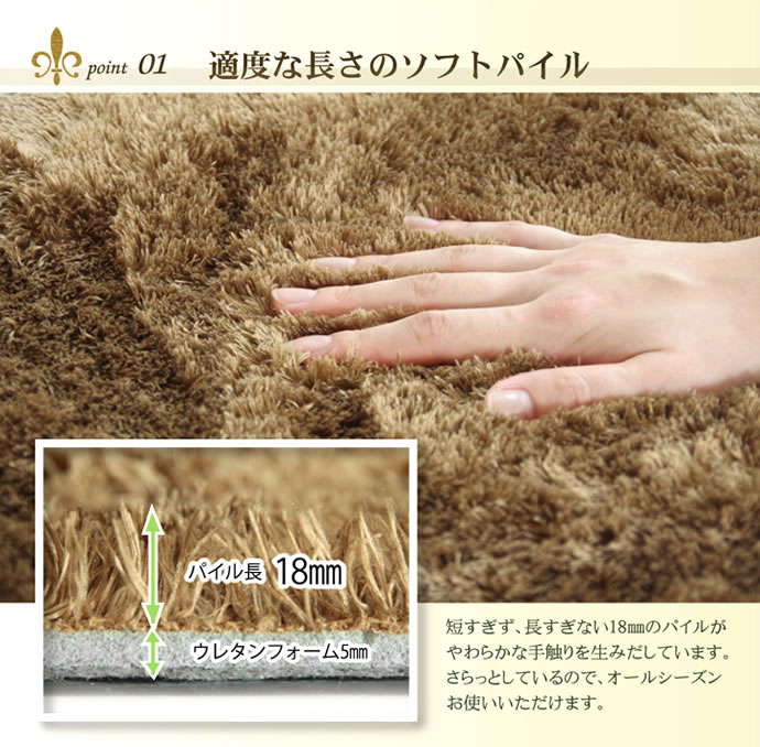 【送料無料】【200cm×250cm】ラグマット ラグ マット 長方形 リビング 洗える 床暖房可能 シャギー ブラウン [4]