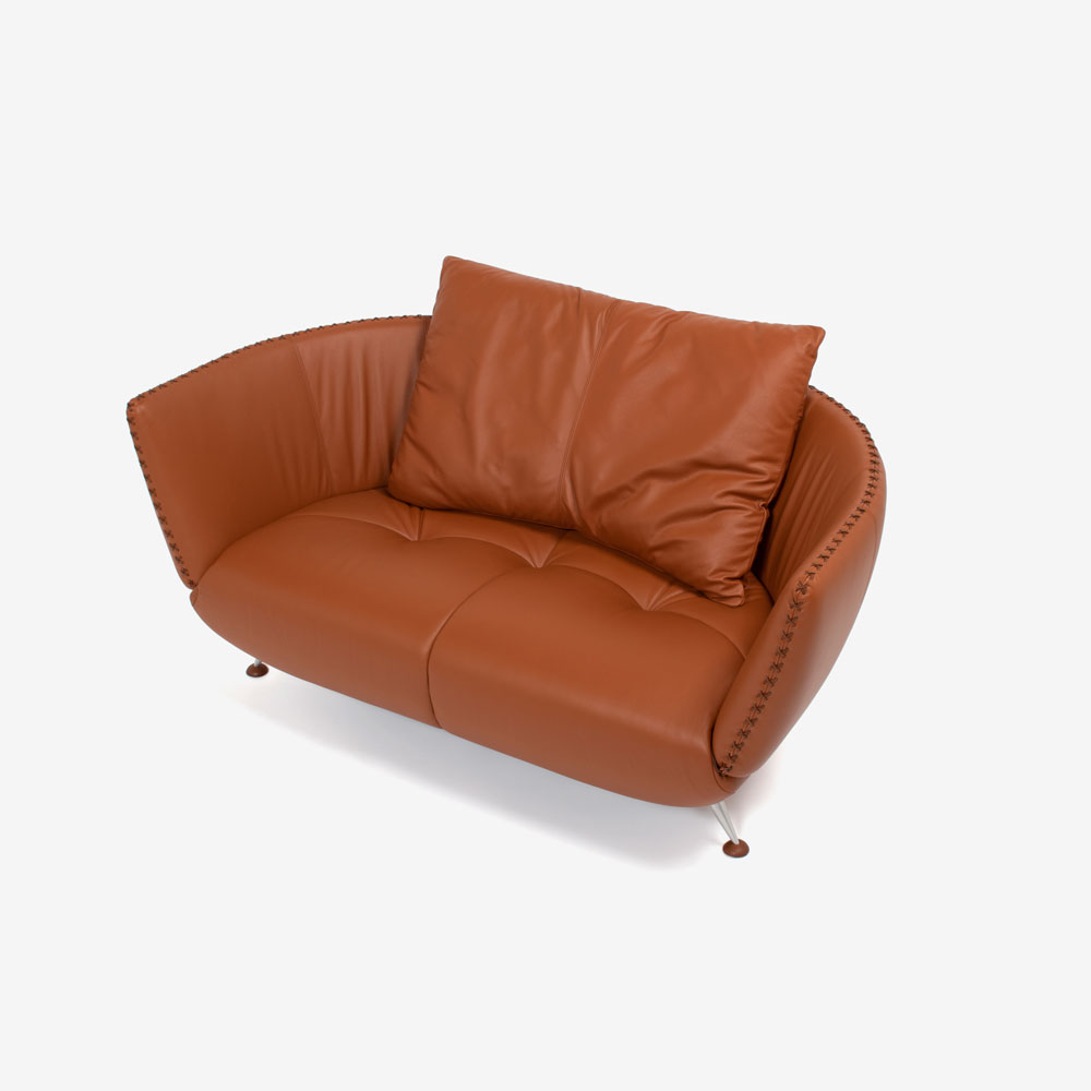 de Sede（デセデ）ラブソファ「DS-102/23」革レンガ色 [4]