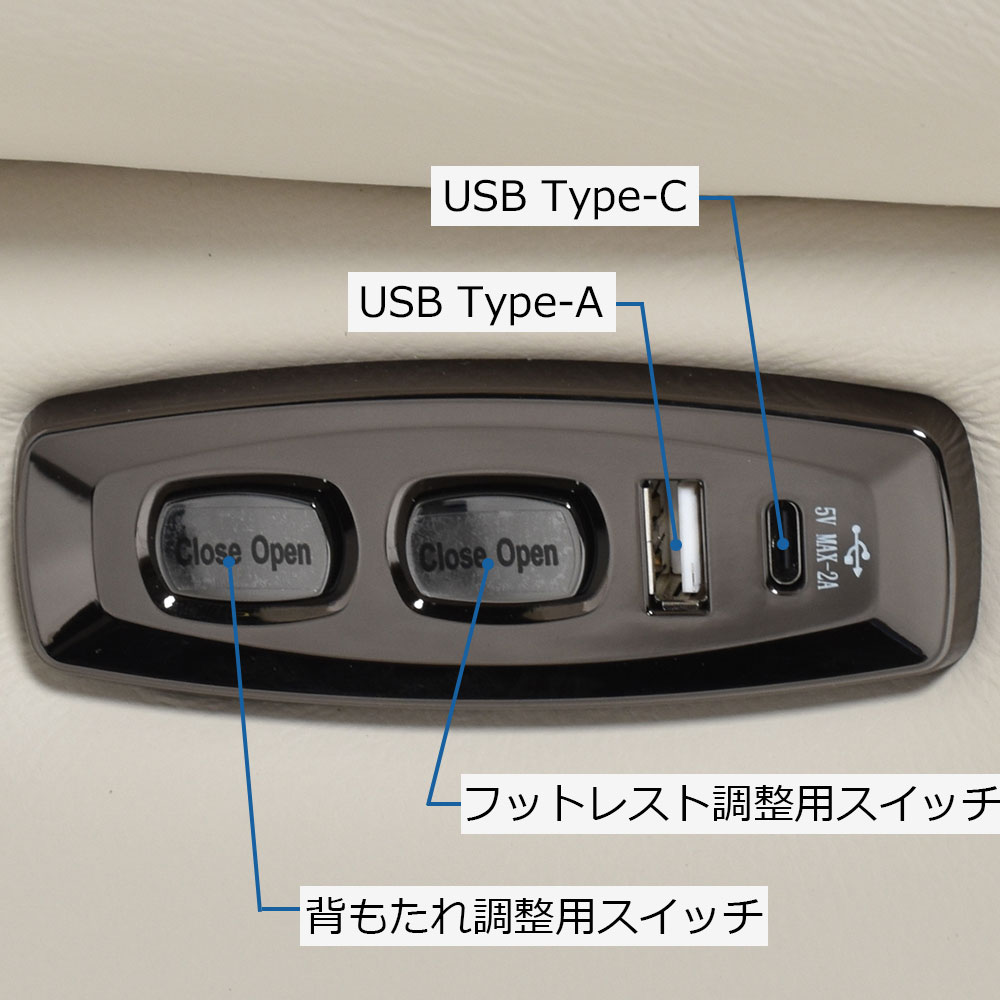 電動リクライニングチェア 「L/S Motion 501（エルエスモーション501）」革#H/S-521E フロスト色 [5]
