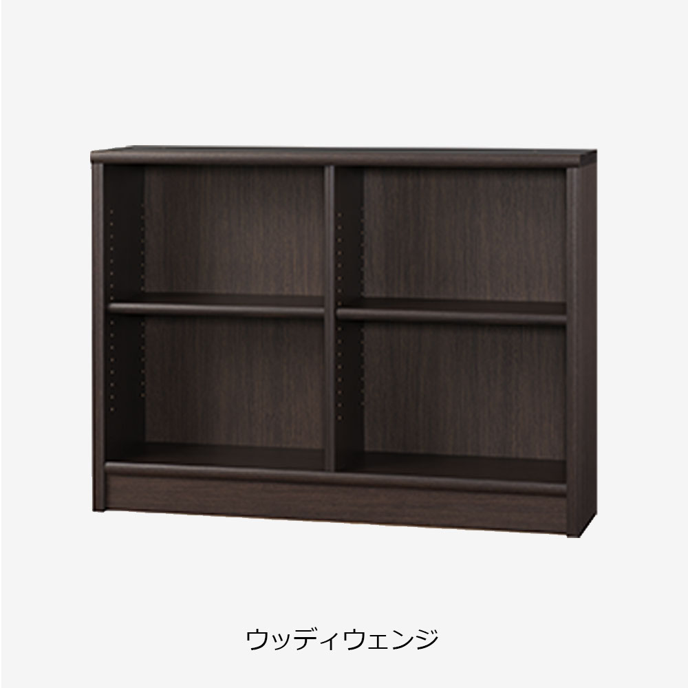 小島工芸　書棚 「Nアコード 120L」幅118.3cm ロータイプ 全4色 [3]