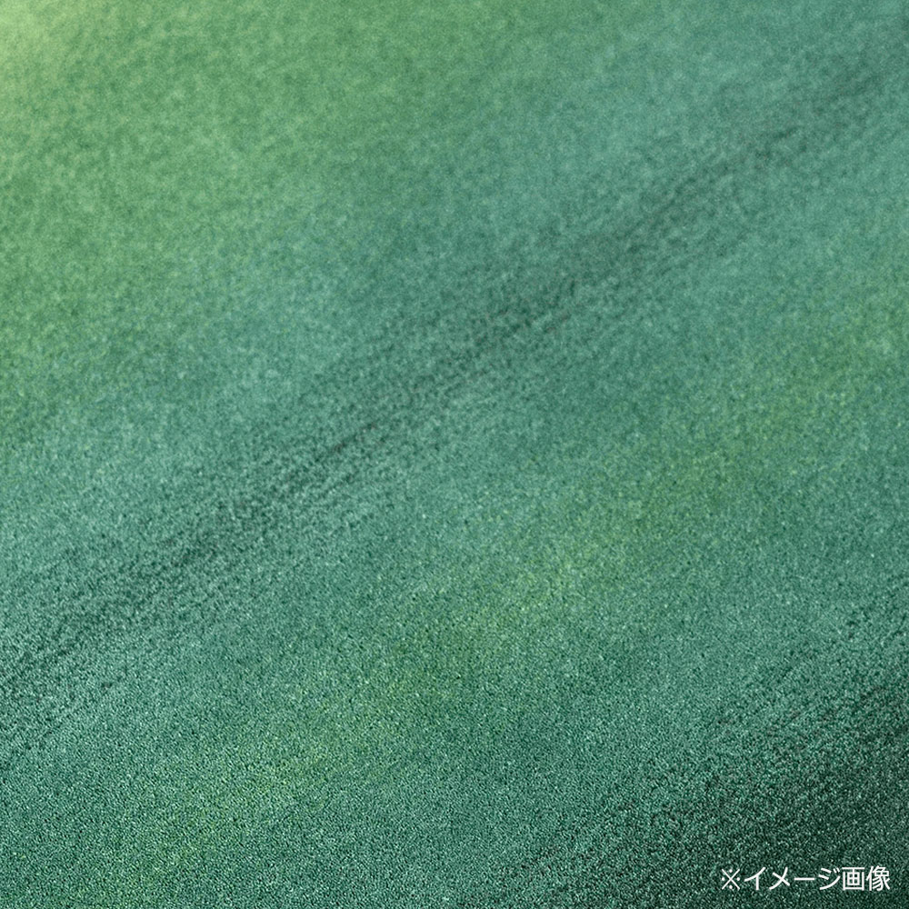 山形緞通　手刺緞通「まつかぜ」Mサイズ(幅200x長さ140cm) 防炎【受注生産品】 [3]