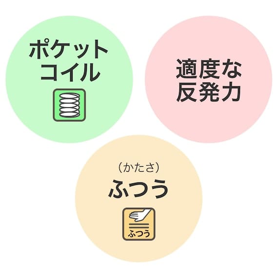 セミダブルマットレス(Nスリープ C2-05 EM) <N> [2]