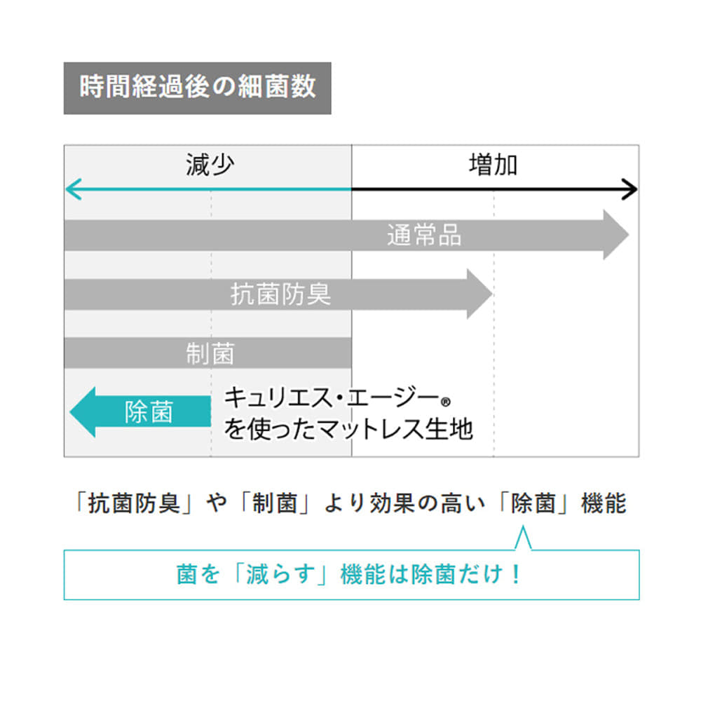 [フランスベッド] シングルマットレス　ＬＴ９９００ＰＷ−ＭＯＮハード [5]
