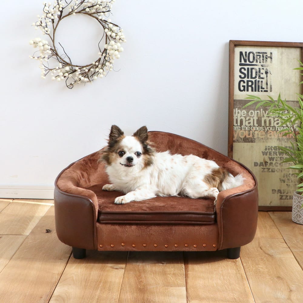 ペットソファ　ＰＥＰＥ（ペペ）ＢＲ [3]